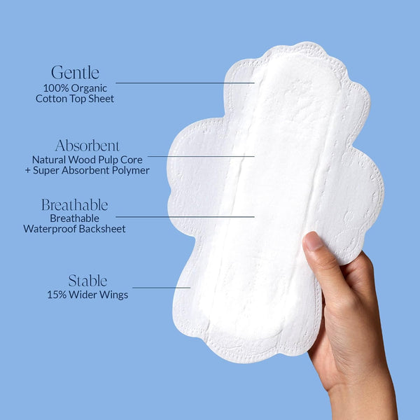 240mm Regular Pads